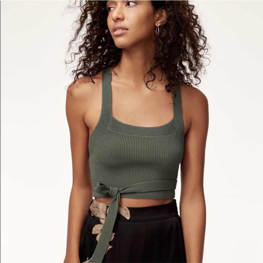 Aritzia Wilfred Cayenne knit top